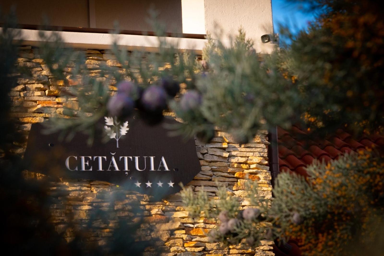 Cetatuia Ξενοδοχείο Magura  Εξωτερικό φωτογραφία